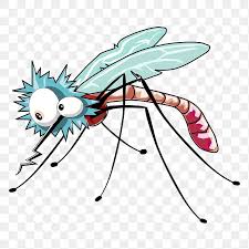 Mosquito
