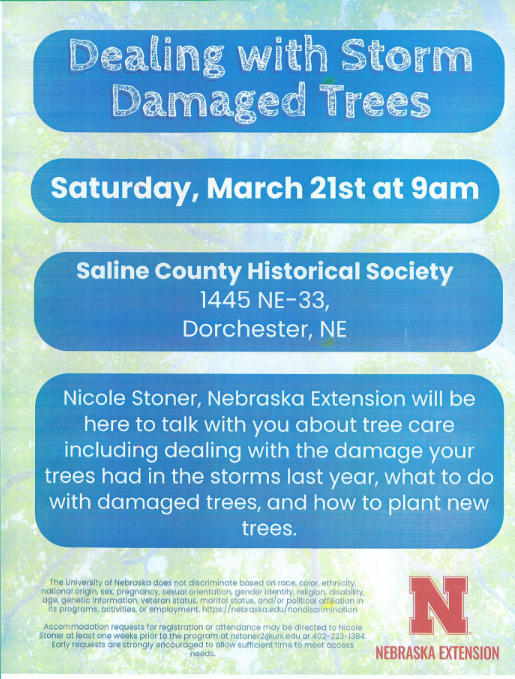 Storm Damaged Trees
